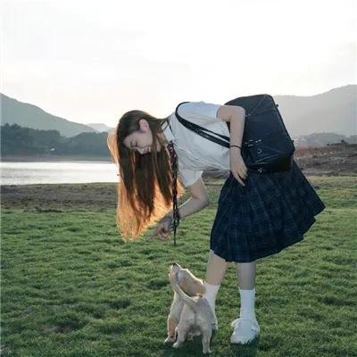 叛碟