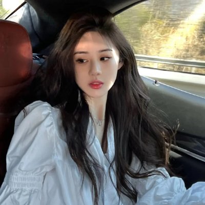 美国豚鼠3：所罗门之歌